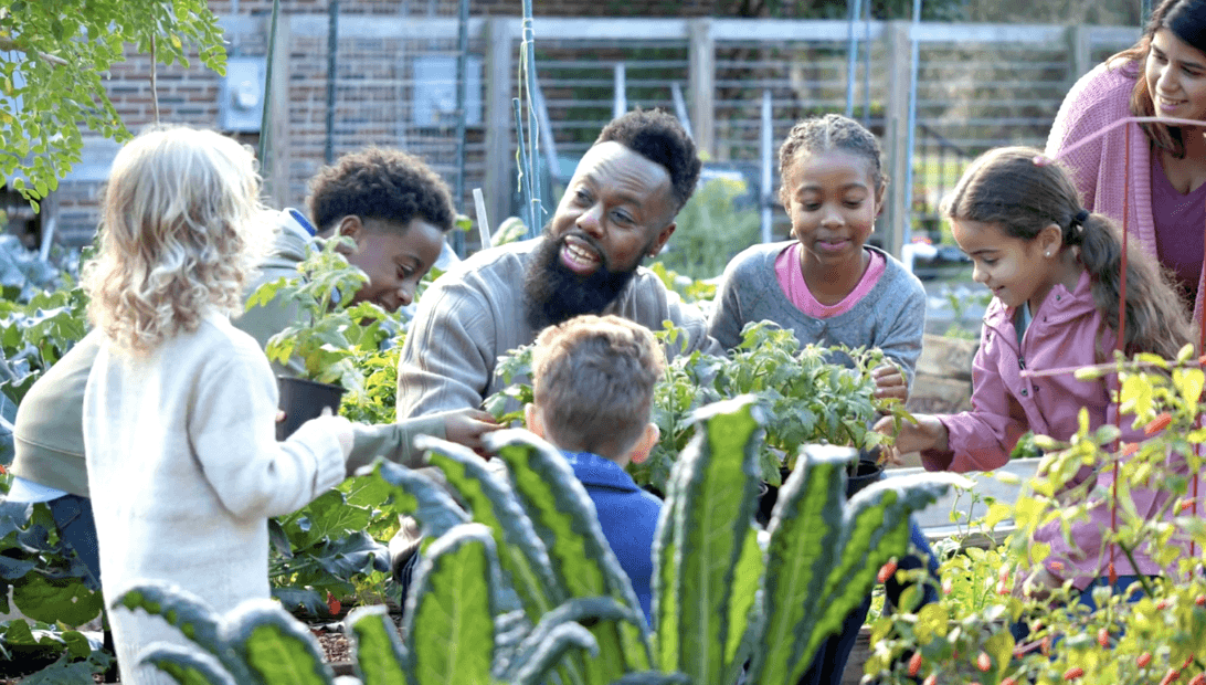 Young Black teacher introduces kids to the school garden